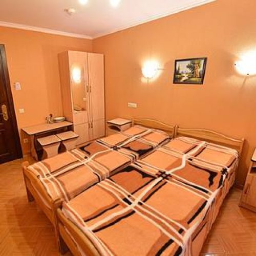 2-х местный эконом